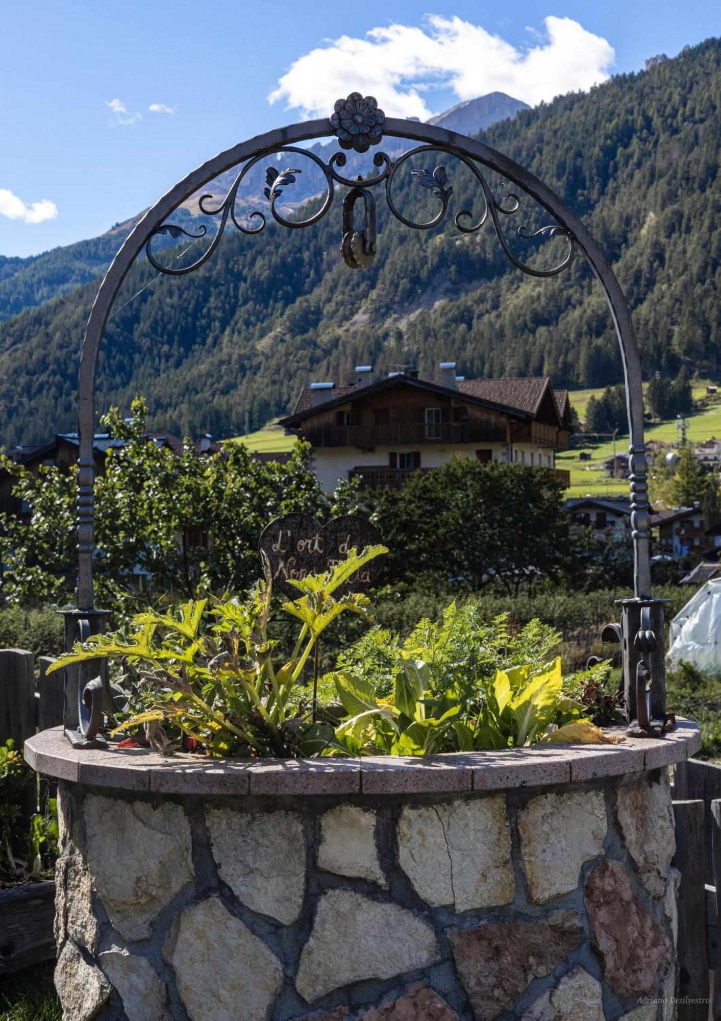 Guest house Majon De La Nona 3*