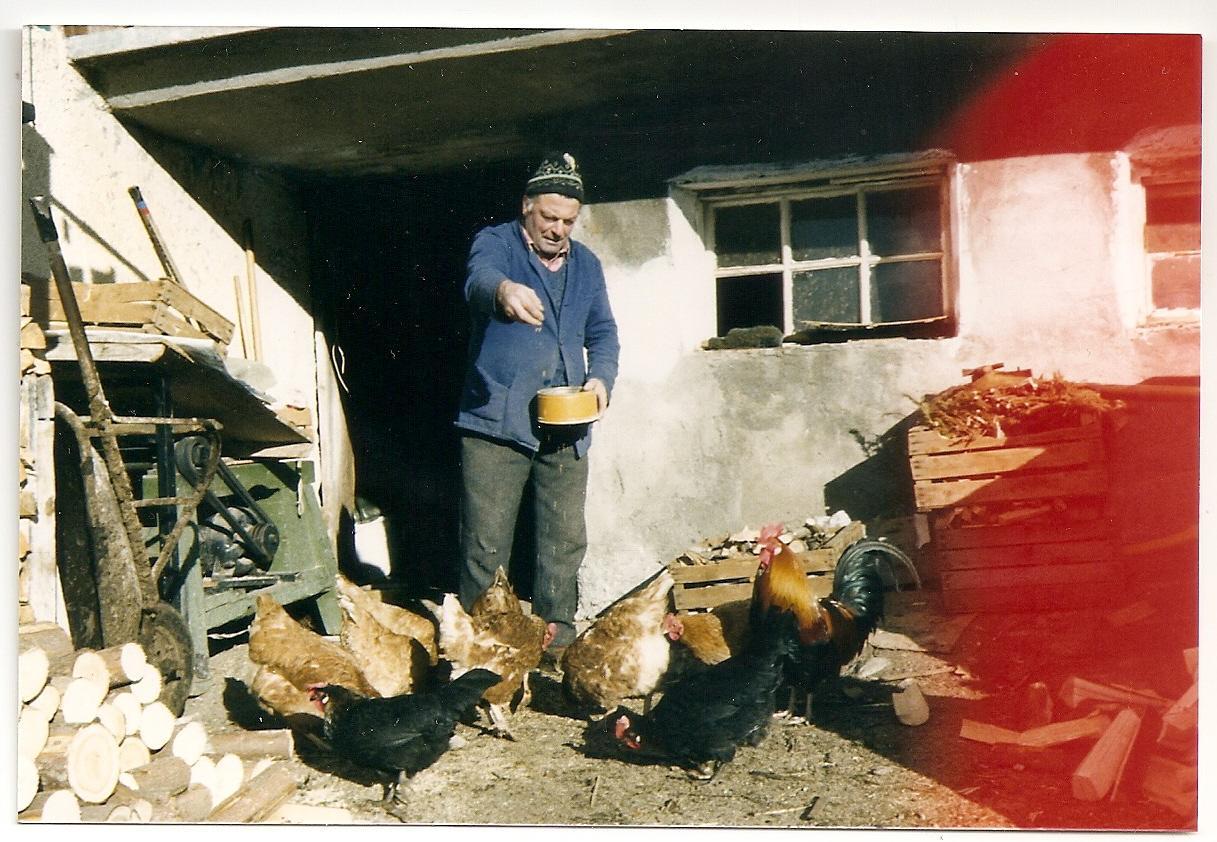 Majon De La Nona Gasthof Pozza di Fassa