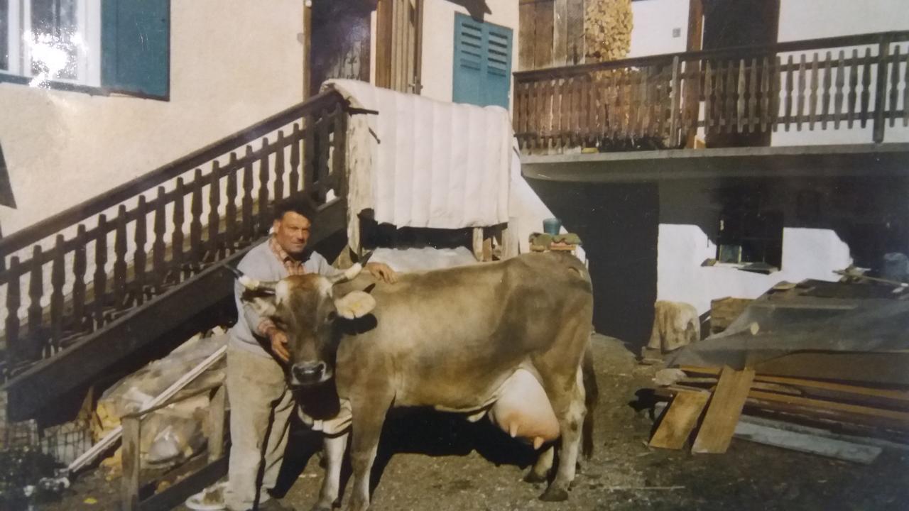Gasthof Majon De La Nona Pozza di Fassa
